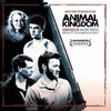  Animal Kingdom