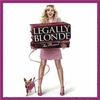  Legally Blonde The Musical