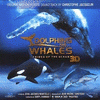  Dolphins and Whales 3D