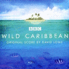  Wild Caribbean