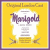  Marigold