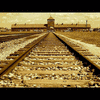  Auschwitz - Birkenau
