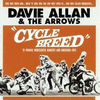  Davie Allan & The Arrows - Cycle Breed