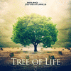  Tree of Life