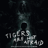  Tigers Are Not Afraid