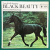  Black Beauty