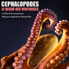  Cphalopode: Le rgne des ventouses
