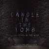 Candle in the Tomb: Weird Cases in the Wild