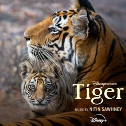 Tiger Soundtrack (Nitin Sawhney) - Cartula