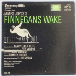 Finnegans Wake Soundtrack (Elliot Kaplan) - Cartula