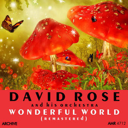 Wonderful World Soundtrack (Various Artists, David Rose) - Cartula
